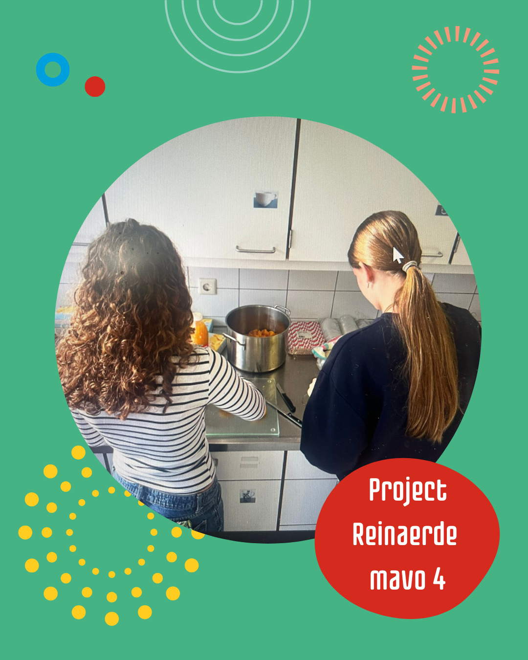 Mavo 4 project Reinaerde